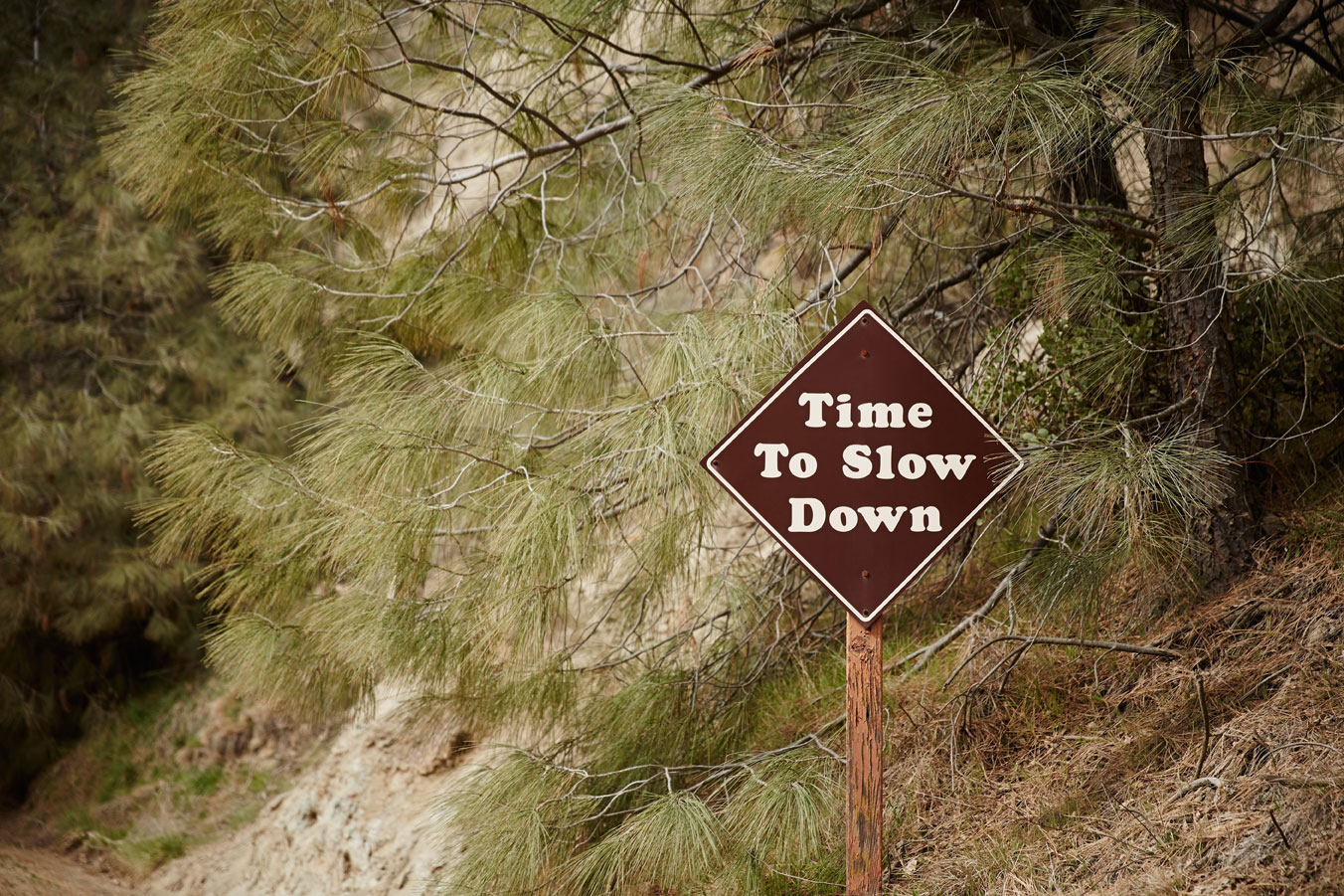 Time to Slow Down - Wilbur Hot Springs