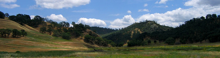 nature gallery