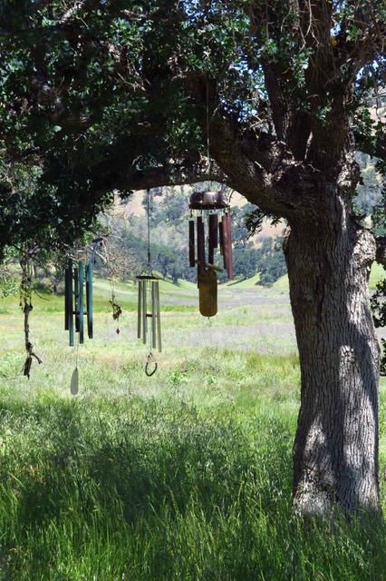 Wind Chimes